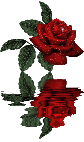 coolrose.gif